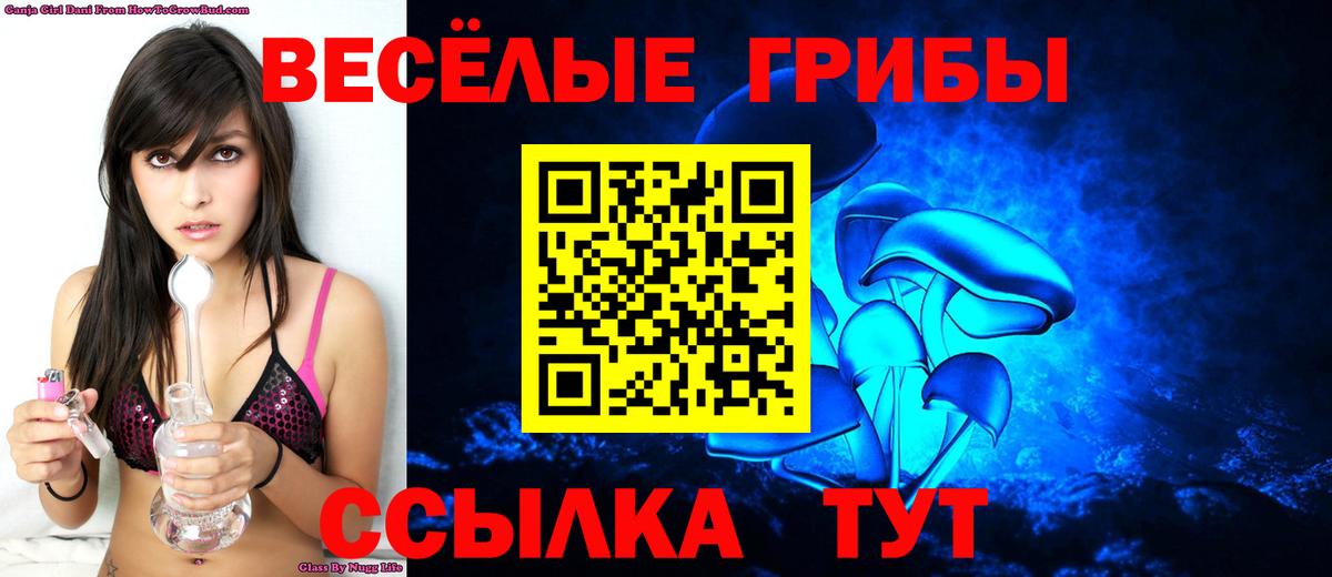 Псилоцибиновые грибы Psilocybe  Вход с VPN  Апрелевка  Галлюциногенные грибы прущие грибы 