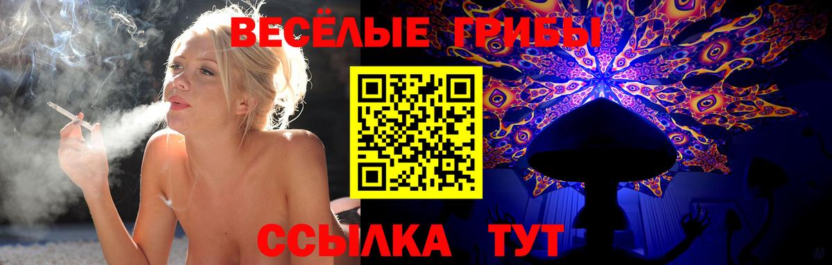 Галлюциногенные грибы ЛСД Апрелевка
